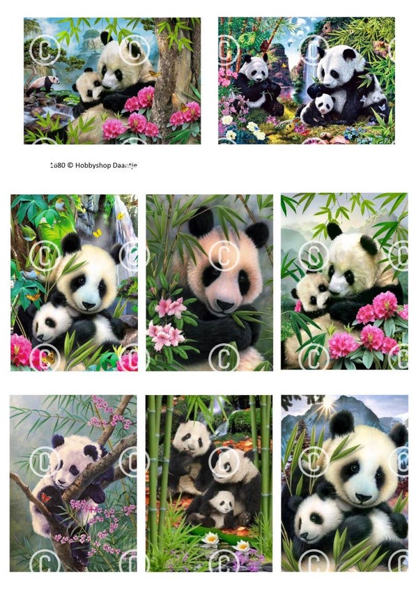 Collage a la Daantje - 1680