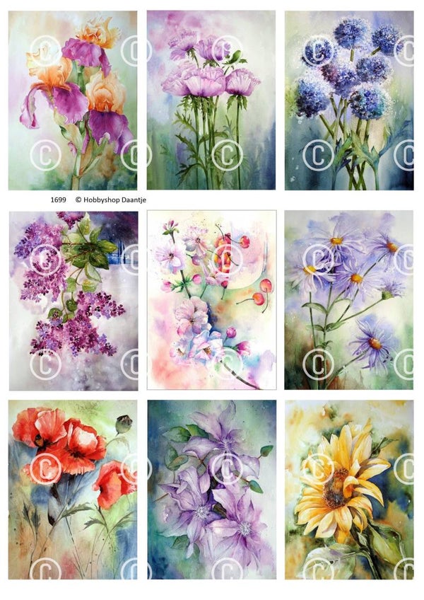 Collage a la Daantje - 1699