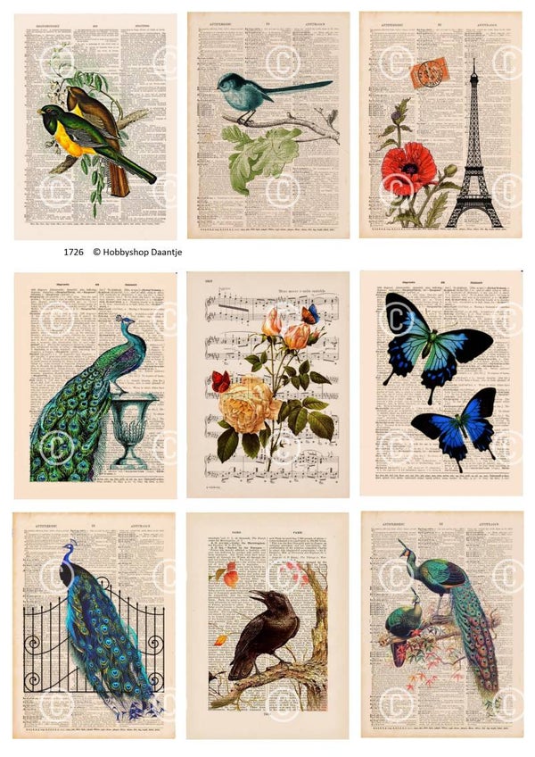 Collage a la Daantje - 1726