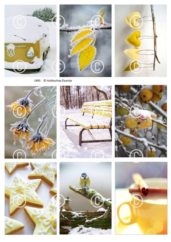 Collage a la Daantje - 1895