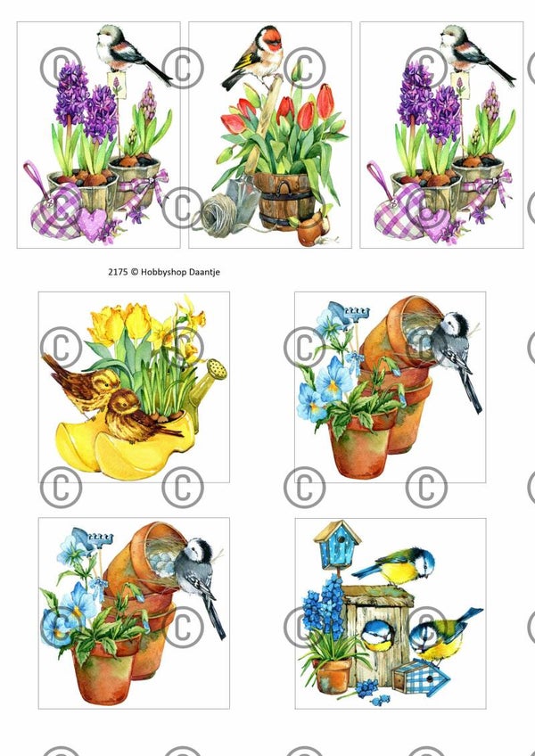 Collage a la Daantje - 2175