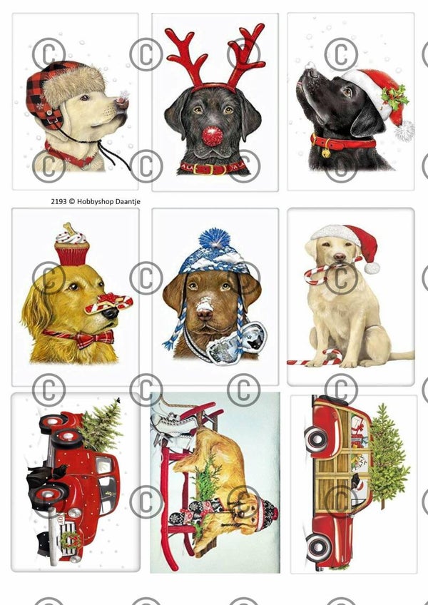 Collage a la Daantje - 2193