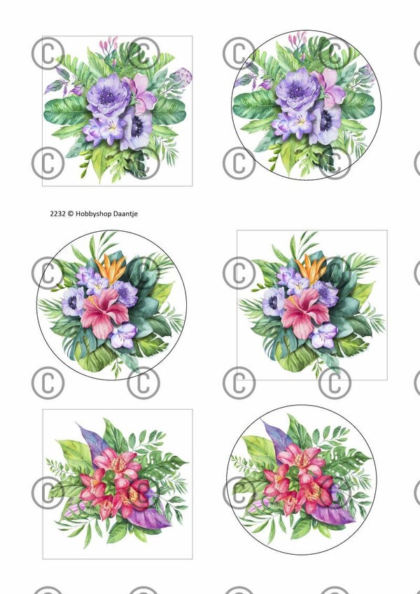 Collage a la Daantje - 2232