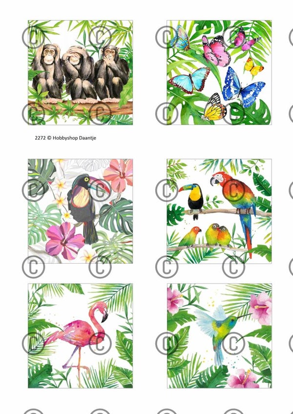 Collage a la Daantje - 2272