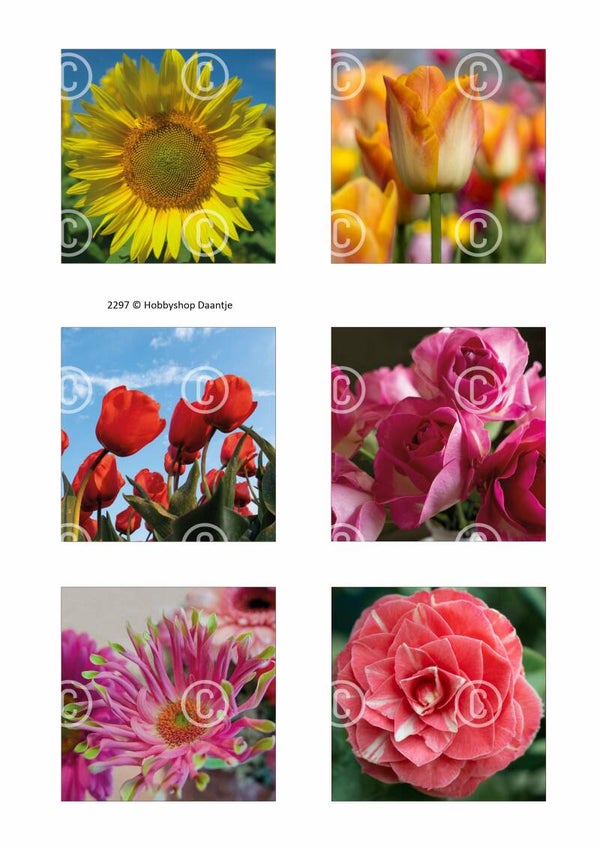 Collage a la Daantje - 2297