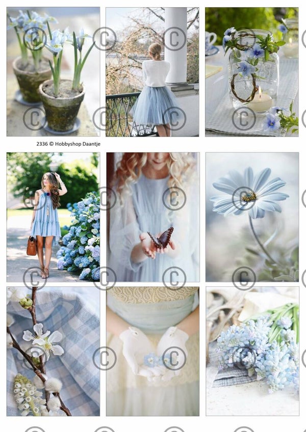 Collage a la Daantje - 2336