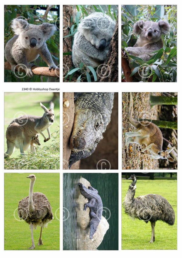 Collage a la Daantje - 2340