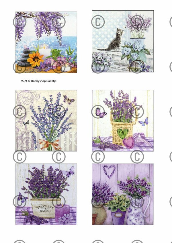 Collage a la Daantje - 2509