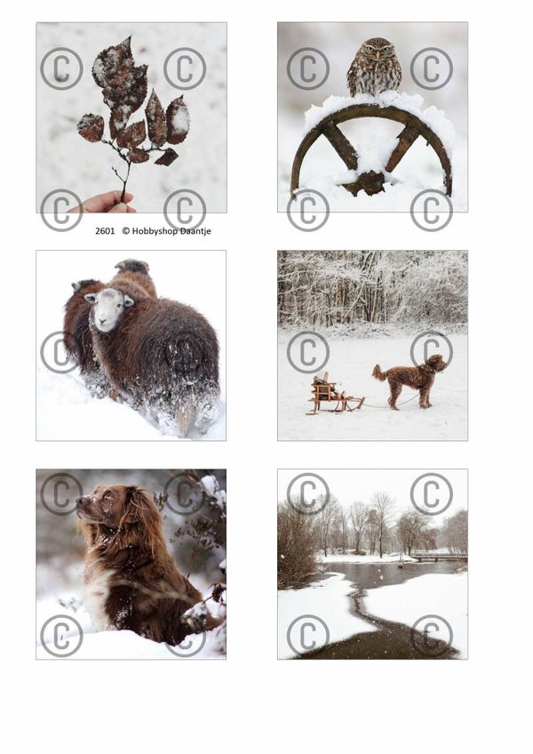 Collage a la Daantje - 2601