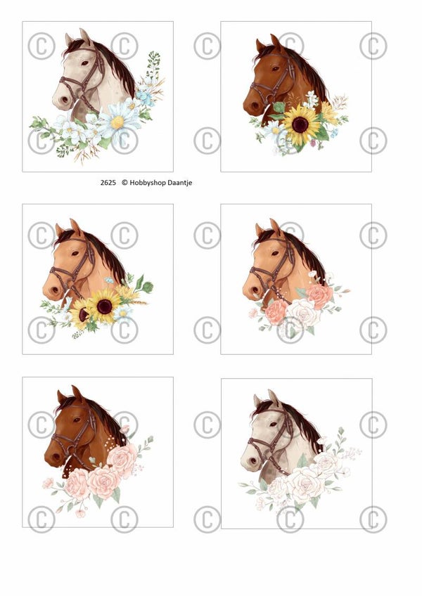 Collage a la Daantje - 2625