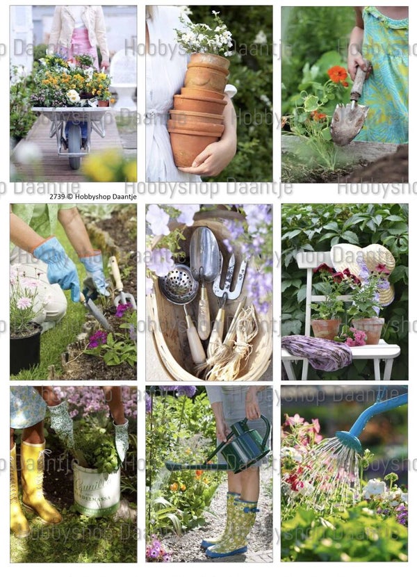 Collage a la Daantje - 2739