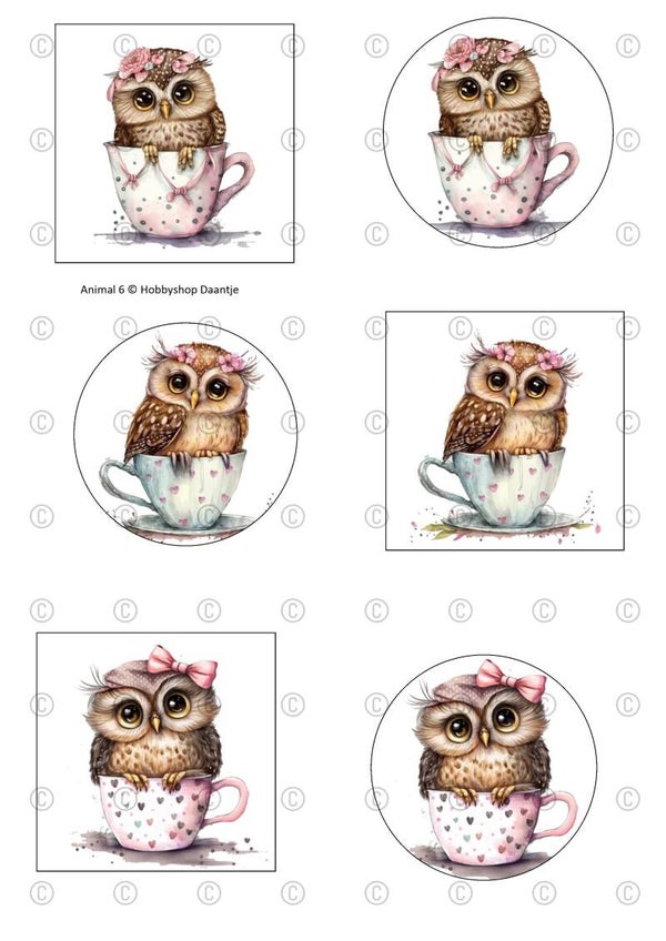 Collagevel - Animal 6