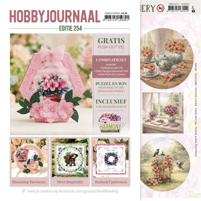 Hobbyjournaal 254 - HJ254