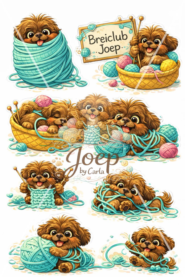 DIGITAAL VEL - Joep by Carla, Breiclub Joep, Wol Turquoise 2