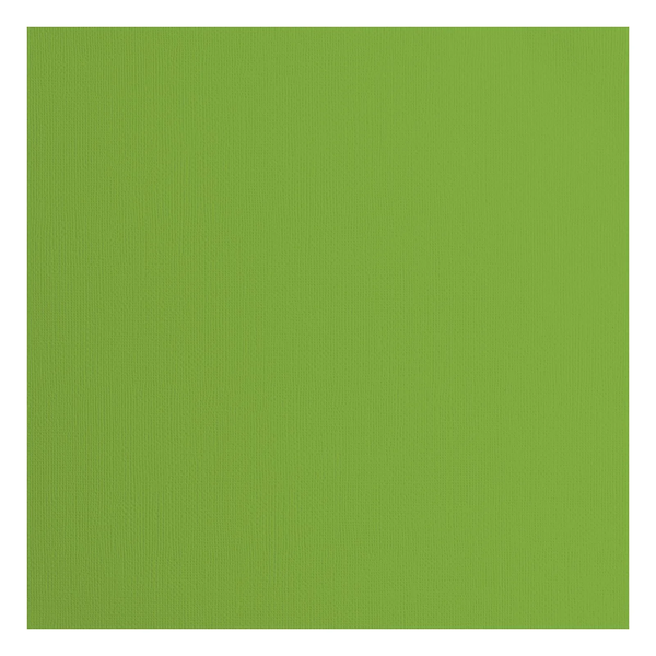 Vaessen Creative, Cardstock Texture, Frog , 30,5 x 30,5 cm - 2928-074
