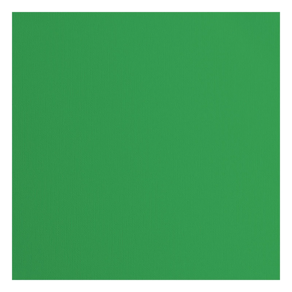 Vaessen Creative, Cardstock Texture, Holly , 30,5 x 30,5 cm - 2928-076