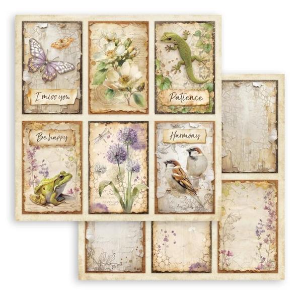 Stamperia, Scrapbookvel, All Around, 12 x 12 inch, 6 cards  - SBB1149