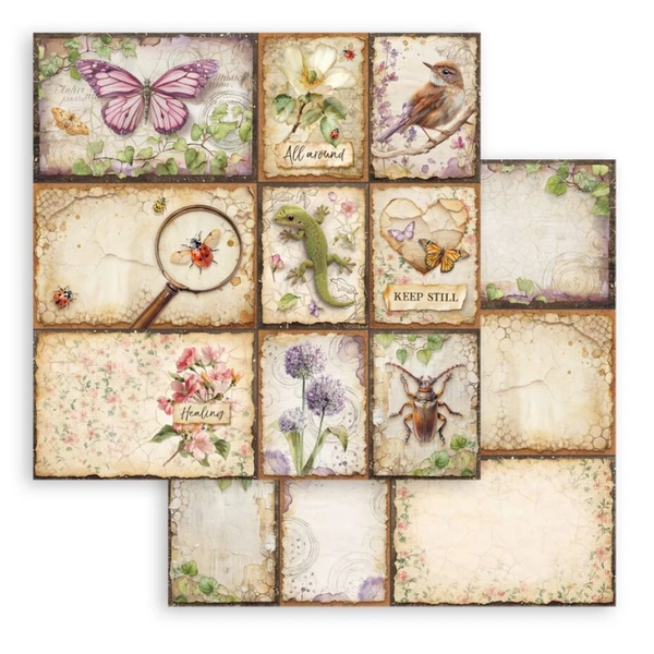 Stamperia, Scrapbookvel, All Around, 12 x 12 inch, Mixed Cards  - SBB1150