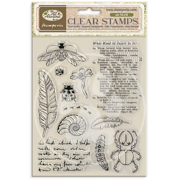 Stamperia, Clear Stamp, All Around  - WTK241