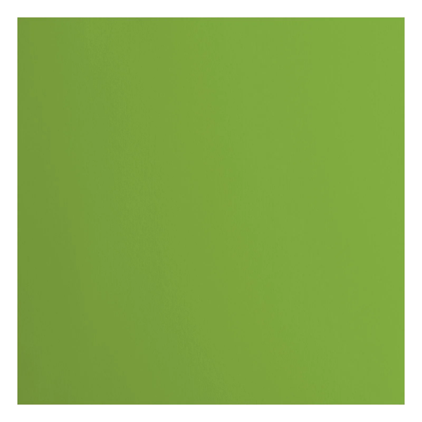Vaessen Creative, Cardstock Smooth, Frog, 30,5 x 30,5 cm - 2926-074