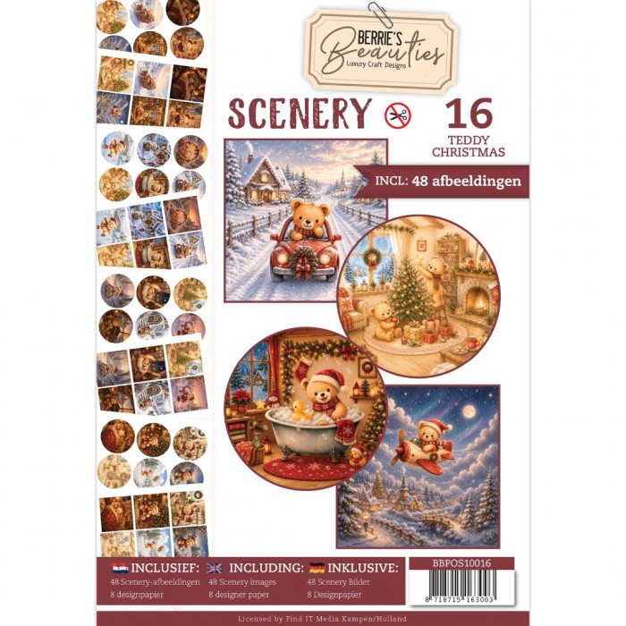 Find It, Push out Book, Scenery 16, Teddy - BBPOS10016