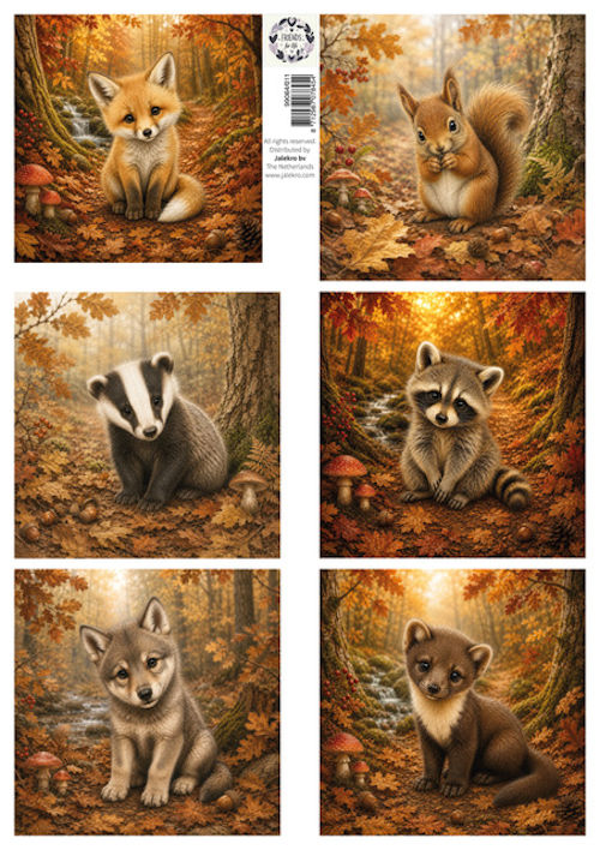 Jalekro, Knipvel, Friends for Life, Herfst - 99064/011