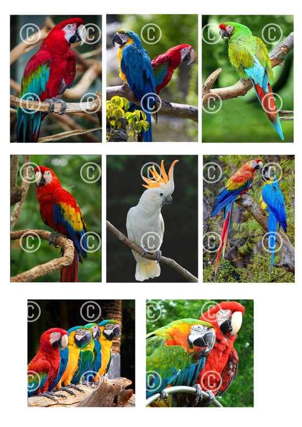 Collage a la Daantje - 0609