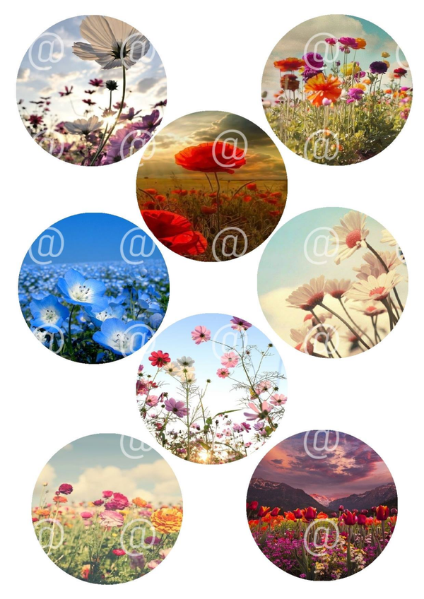 Collage a la Daantje - 0112