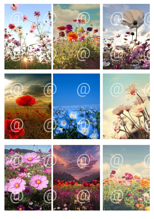 Collage a la Daantje - 0097