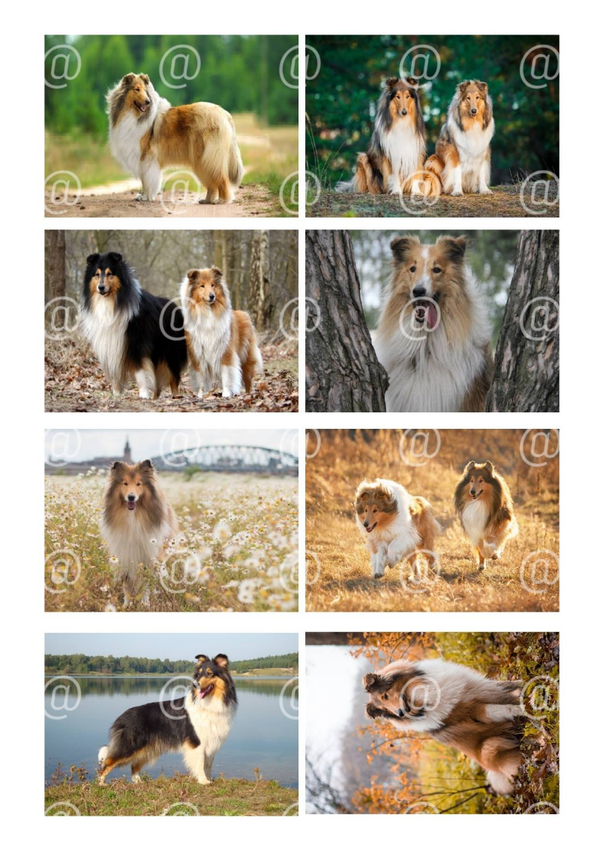 Collage a la Daantje - 0328