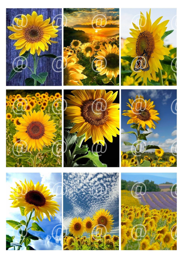 Collage a la Daantje - 0336