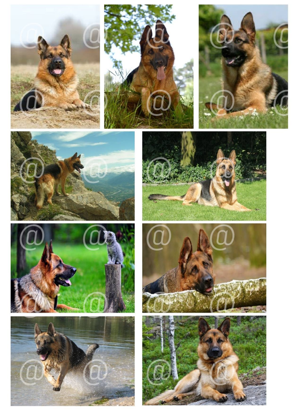 Collage a la Daantje - 0082