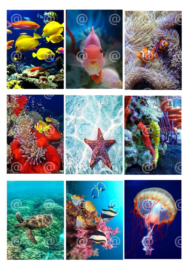 Collage a la Daantje - 0343