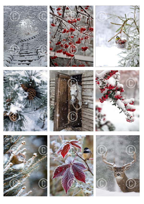 Collage a la Daantje - 0690