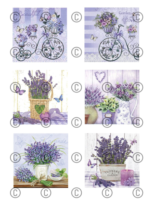 Collage a la Daantje - 0531