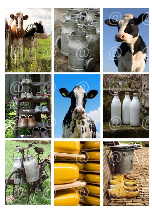 Collage a la Daantje - 0076