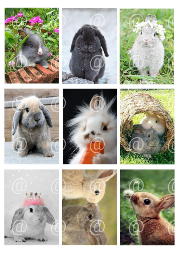 Collage a la Daantje - 0377