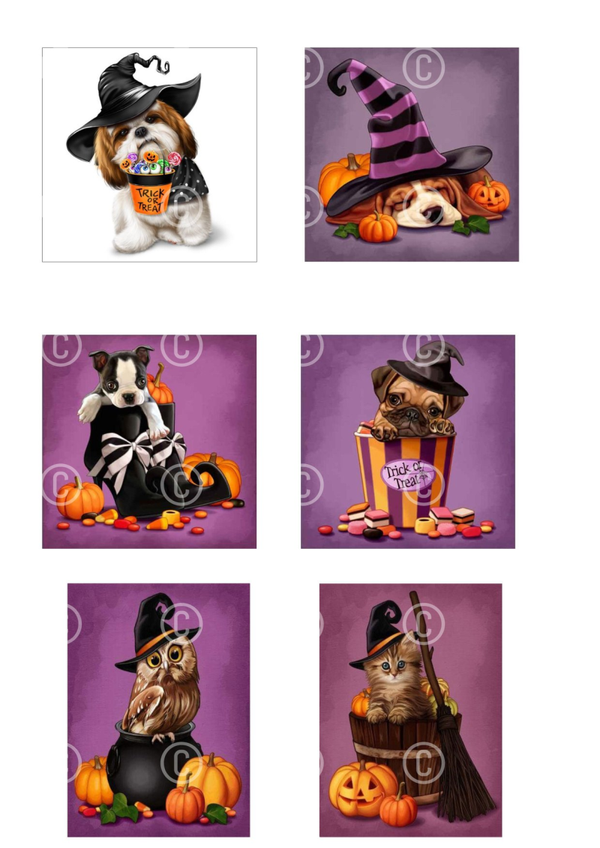 Collage a la Daantje - 0774