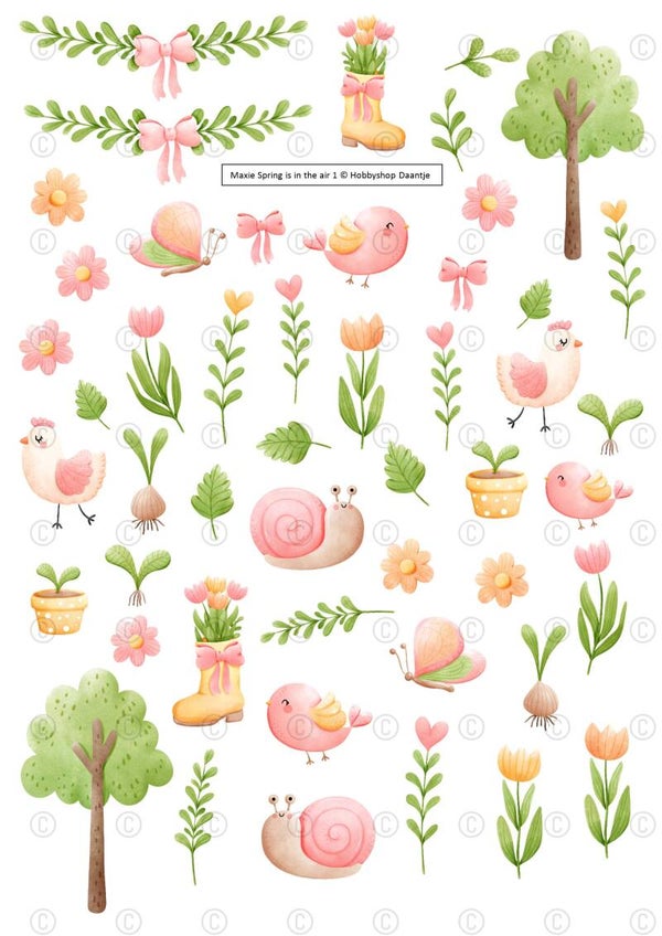 Maxie - Spring is in the air 1