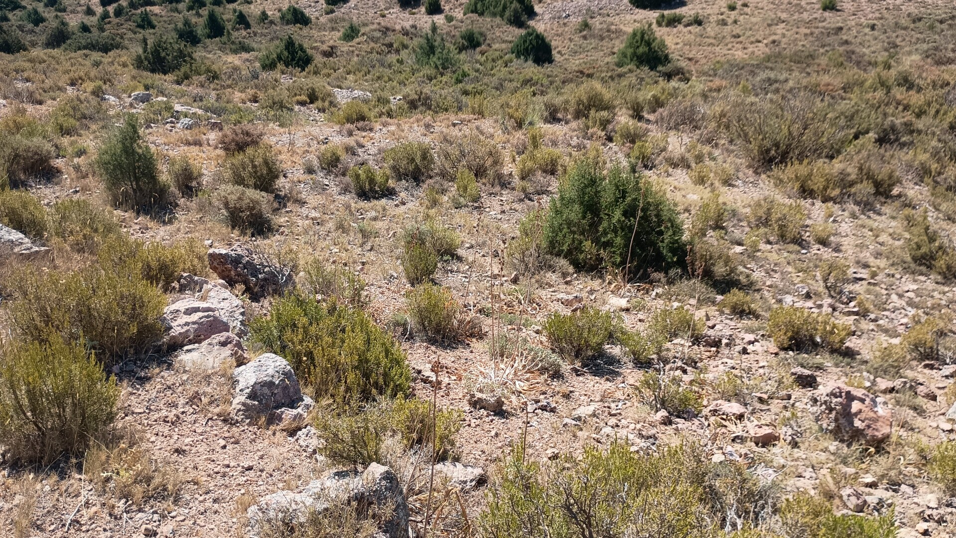 Cuevas de Santo Domingo