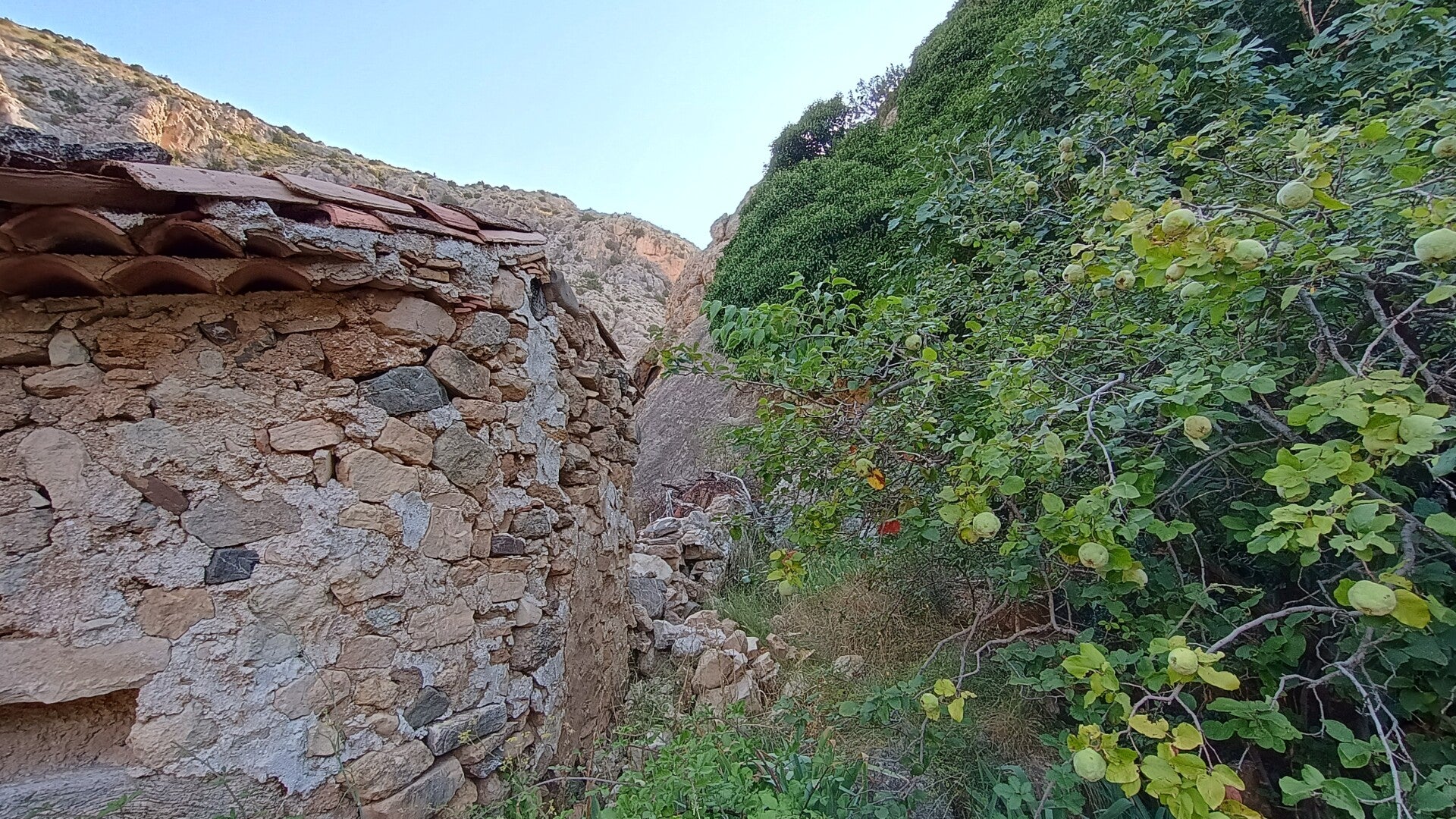 Molino Bajo (Molino Viejo)