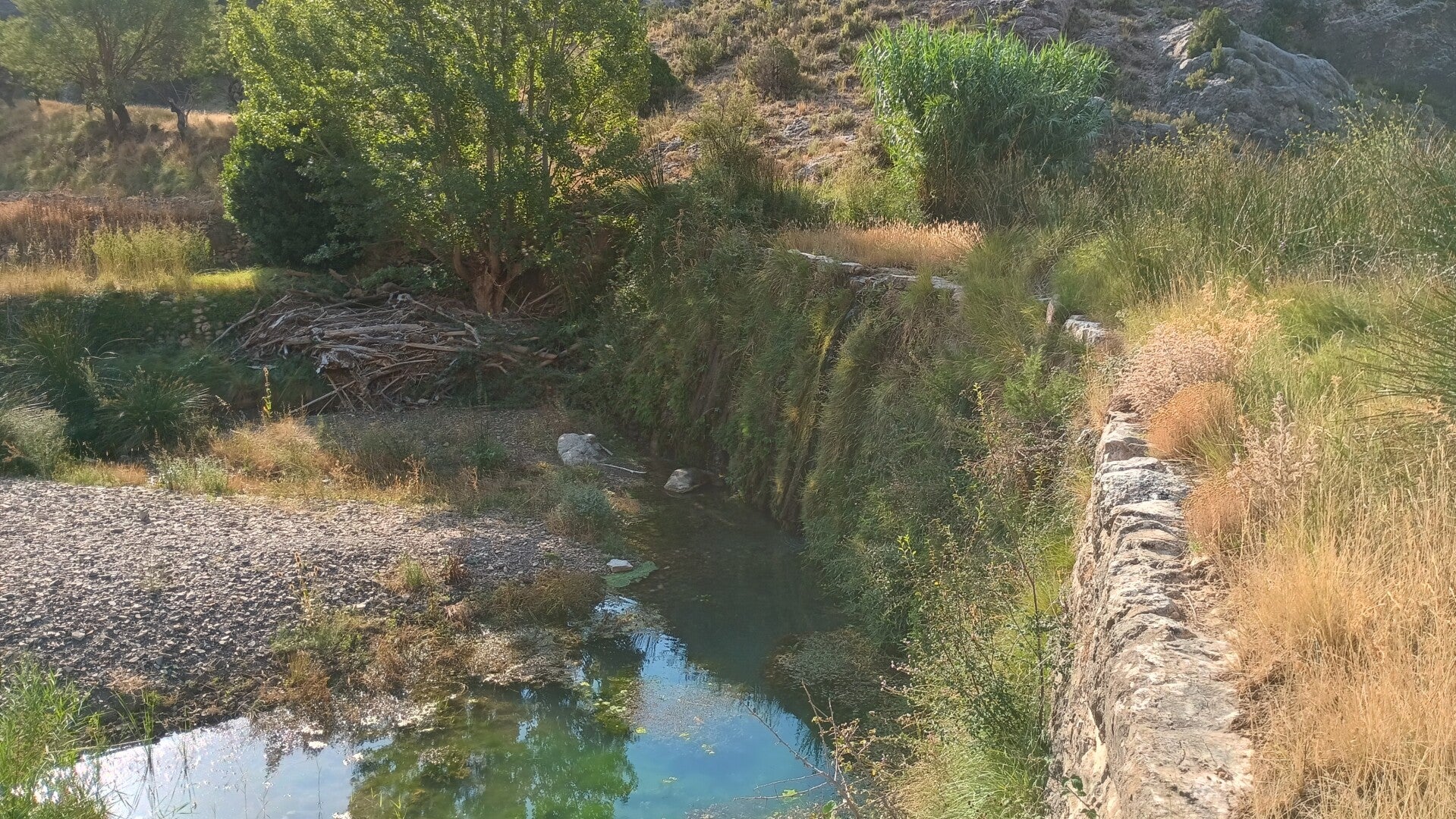 Azud Molino Bajo