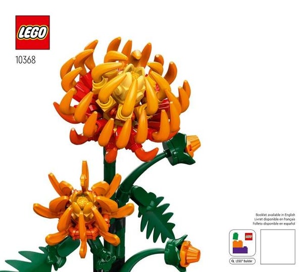 10368 Chrysanthemum