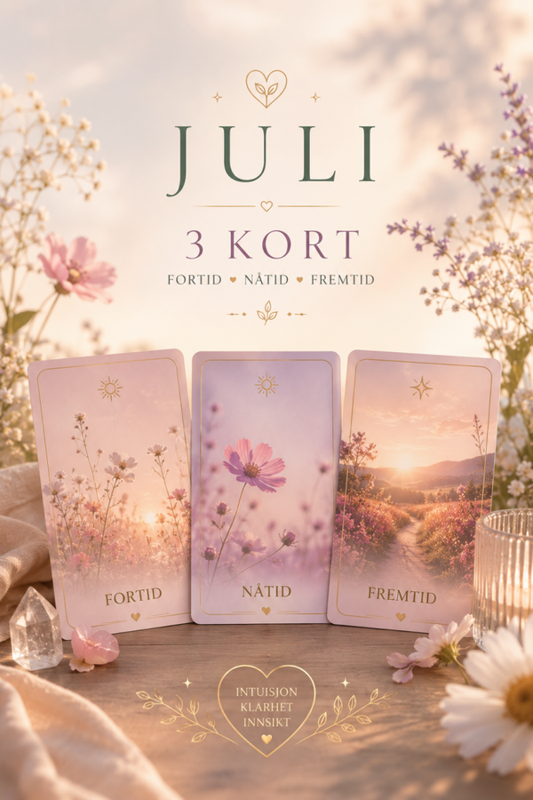VEILEDNING 💚 3 kort:  Fortid • Nåtid • Fremtid
