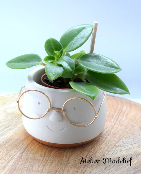 Bloempotje met brilletje met plantje 2