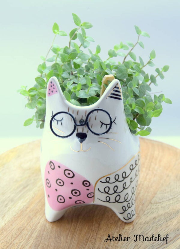 Bloempotje poes met plantje