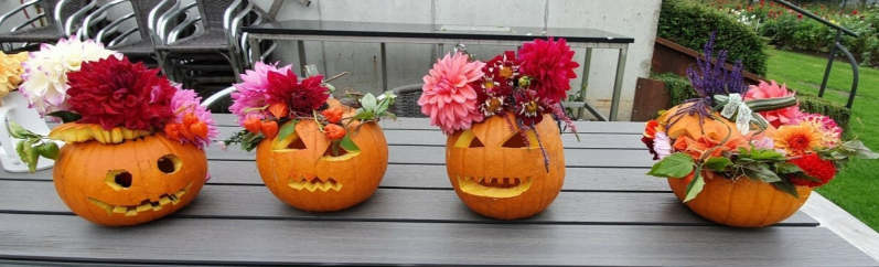 Pompoenen versiert samen 