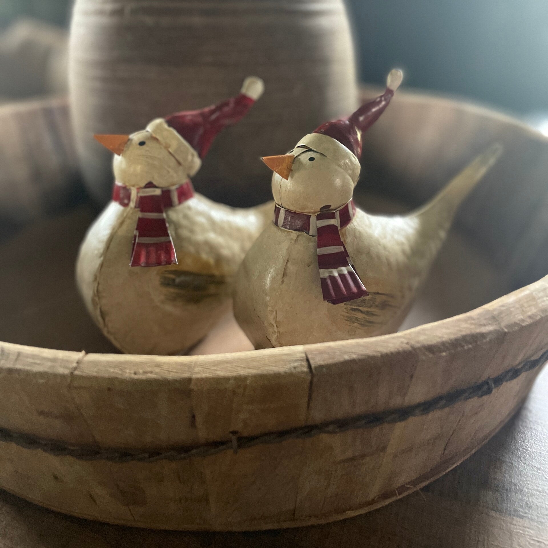 Vogels met kerstmuts