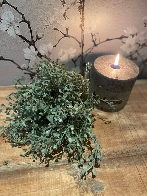 Bosje gingco bush (kunst)