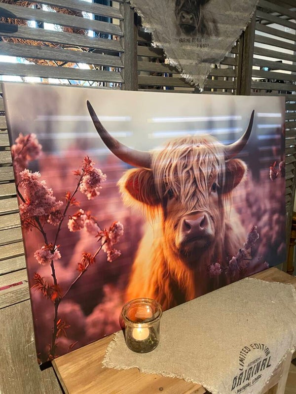 Canvas lijst Schotse Hooglander kleurig